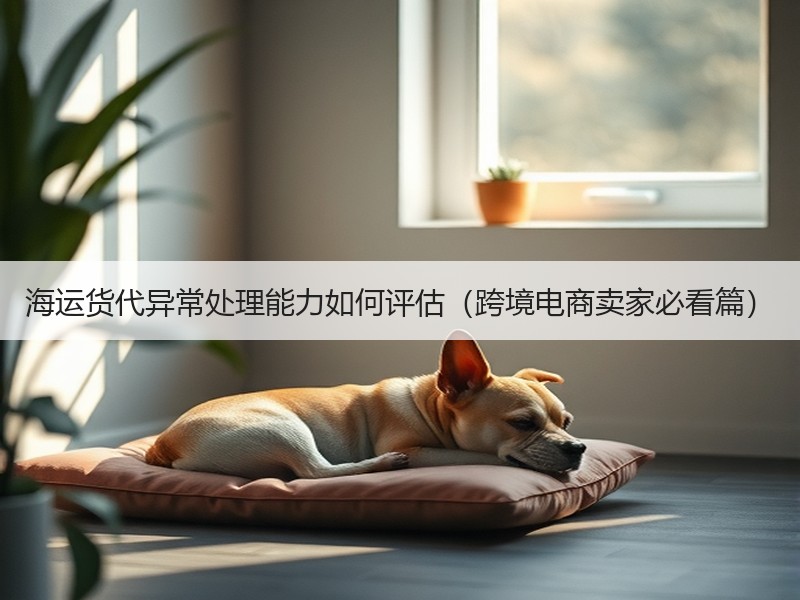海运货代异常处理能力如何评估（跨境电商卖家必看篇）