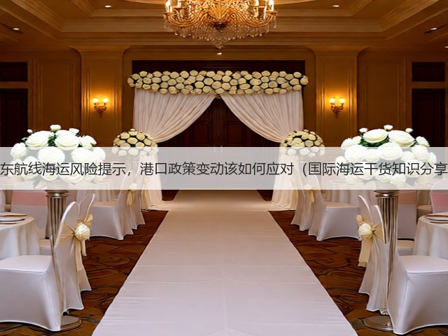 中东航线海运风险提示，港口政策变动该如何应对（国际海运干货知识分享）(图1)