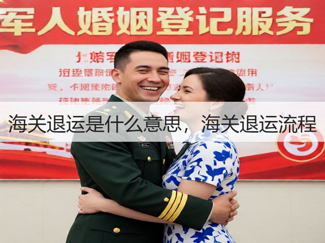 海关退运是什么意思，海关退运流程(图3)