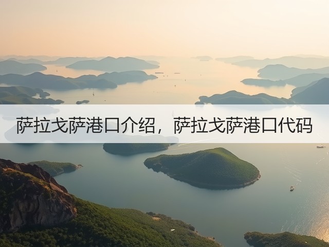 萨拉戈萨港口介绍，萨拉戈萨港口代码(图1)