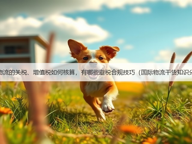 跨境物流的关税、增值税如何核算,有哪些避税合规技巧(国际物流干货知识分享)(图1) 跨境物流的关税、增值税如何核算,有哪些避税合规技巧(国际物流干货知识分享)(图1)