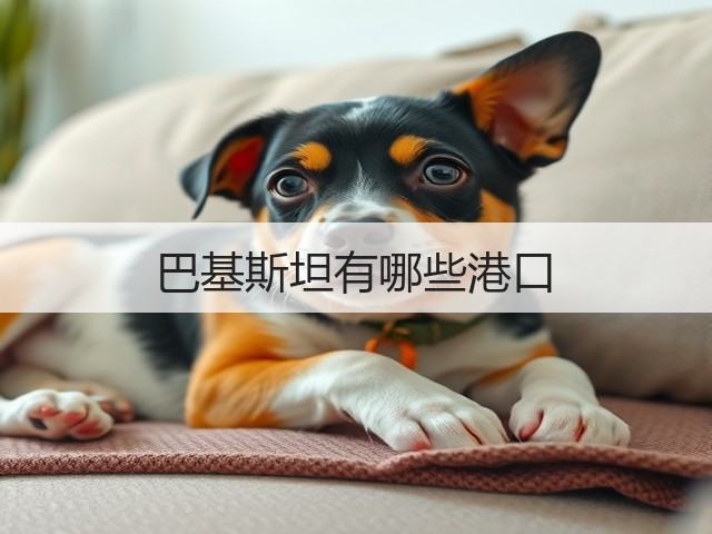 巴基斯坦有哪些港口(图3)