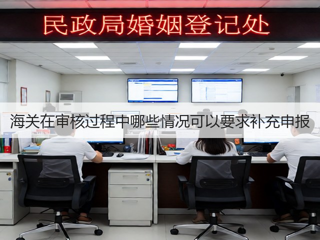 海关在审核过程中哪些情况可以要求补充申报(图3)