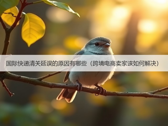 国际快递清关延误的原因有哪些(跨境电商卖家该如何解决)(图1) 国际快递清关延误的原因有哪些(跨境电商卖家该如何解决)(图1)