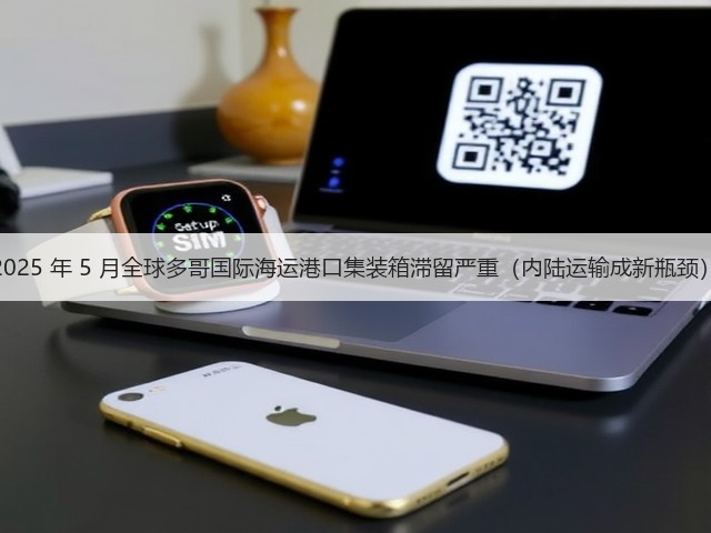 2025 年 5 月全球多哥国际海运港口集装箱滞留严重（内陆运输成新瓶颈）(图1)
