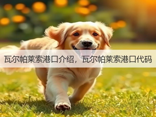 瓦尔帕莱索港口介绍，瓦尔帕莱索港口代码(图3)