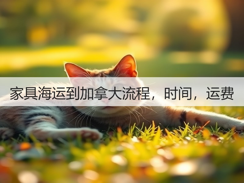 家具海运到加拿大流程，时间，运费