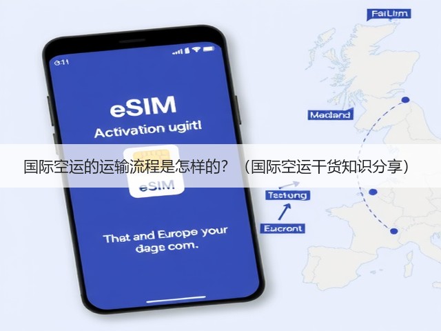 国际空运的运输流程是怎样的？（国际空运干货知识分享）(图2)