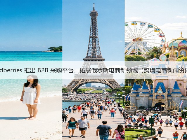 Wildberries 推出 B2B 采购平台,拓展俄罗斯电商新领域(跨境电商新闻资讯)(图1) Wildberries 推出 B2B 采购平台,拓展俄罗斯电商新领域(跨境电商新闻资讯)(图1)