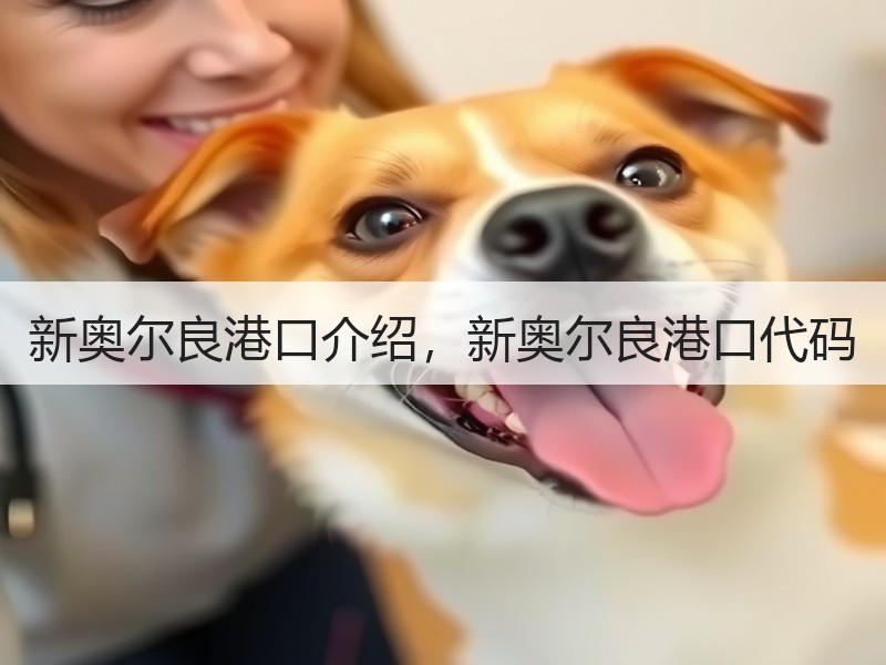 新奥尔良港口介绍,新奥尔良港口代码 新奥尔良港口介绍,新奥尔良港口代码
