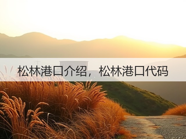 松林港口介绍，松林港口代码(图3)