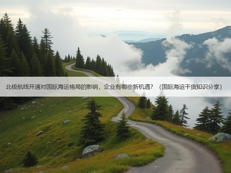 北极航线开通对国际海运格局的影响，企业有哪些新机遇？（国际海运干货知识分享）