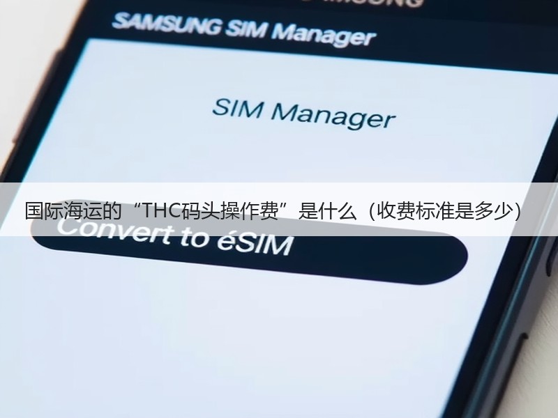 国际海运的“THC码头操作费”是什么（收费标准是多少）