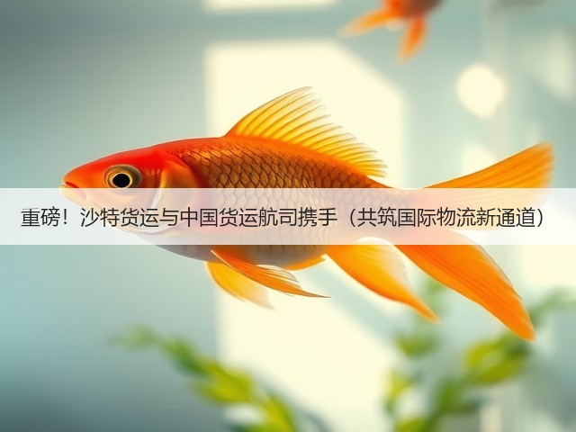 重磅!沙特货运与中国货运航司携手(共筑国际物流新通道)(图1) 重磅!沙特货运与中国货运航司携手(共筑国际物流新通道)(图1)