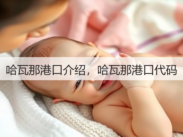 哈瓦那港口介绍，哈瓦那港口代码(图1)