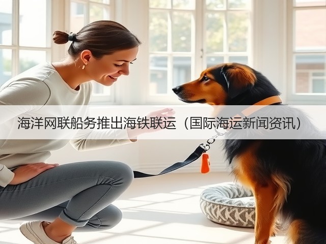海洋网联船务推出海铁联运（国际海运新闻资讯）(图2)