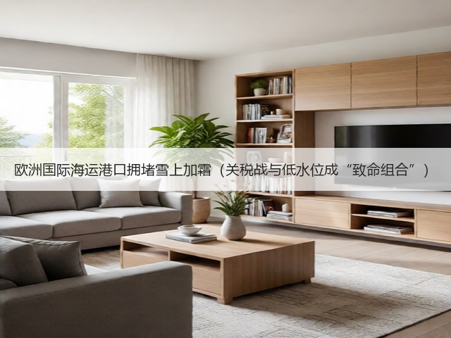 欧洲国际海运港口拥堵雪上加霜（关税战与低水位成“致命组合”）(图1)