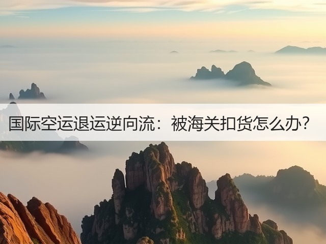 国际空运退运逆向流：被海关扣货怎么办？(图3)