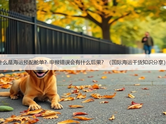 什么是海运预配舱单？申报错误会有什么后果？（国际海运干货知识分享）(图1)