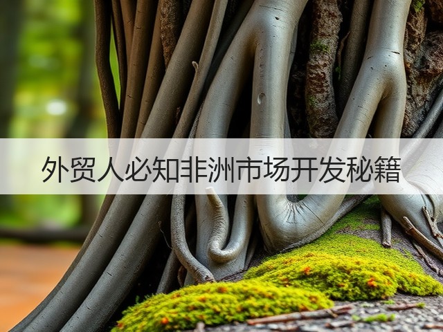 外贸人必知非洲市场开发秘籍(图3)
