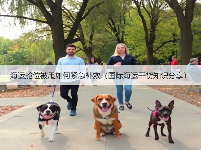 海运舱位被甩如何紧急补救(国际海运干货知识分享)(图3) 海运舱位被甩如何紧急补救(国际海运干货知识分享)(图3)