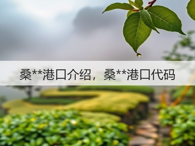 桑**港口介绍，桑**港口代码(图1)