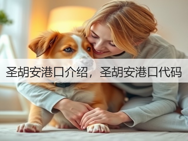 圣胡安港口介绍,圣胡安港口代码(图3) 圣胡安港口介绍,圣胡安港口代码(图3)