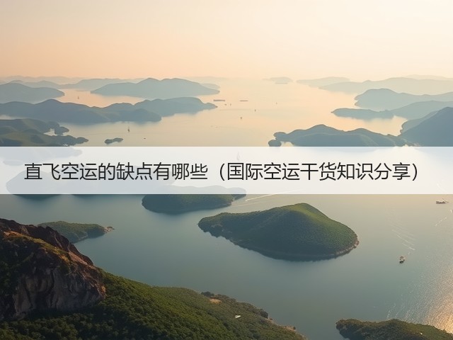 直飞空运的缺点有哪些(国际空运干货知识分享)(图3) 直飞空运的缺点有哪些(国际空运干货知识分享)(图3)