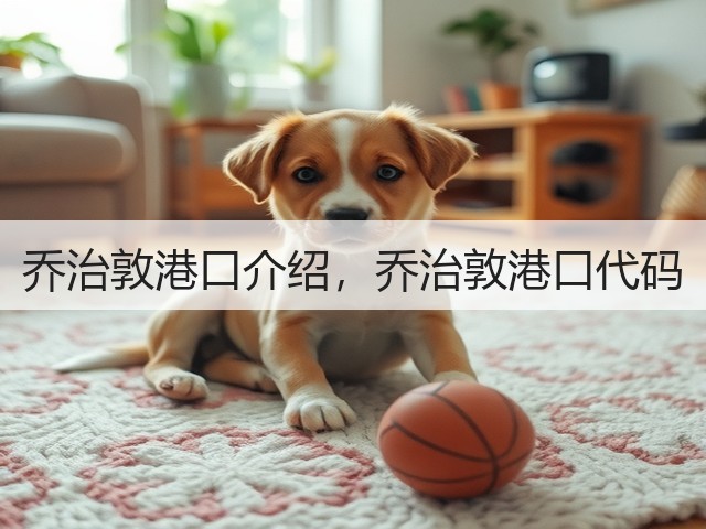 乔治敦港口介绍，乔治敦港口代码(图3)
