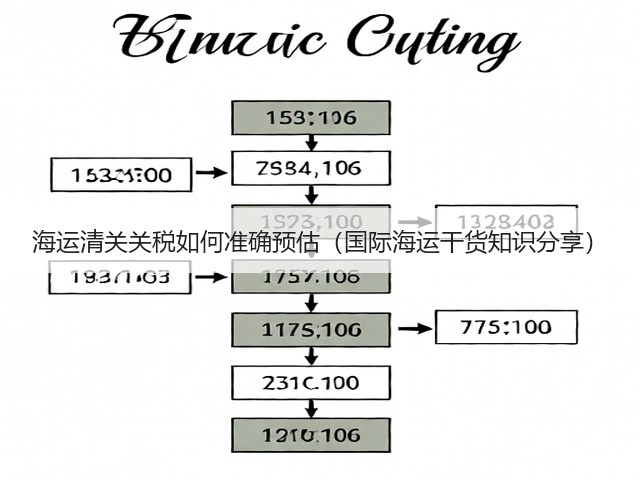 海运清关关税如何准确预估(国际海运干货知识分享)(图1) 海运清关关税如何准确预估(国际海运干货知识分享)(图1)