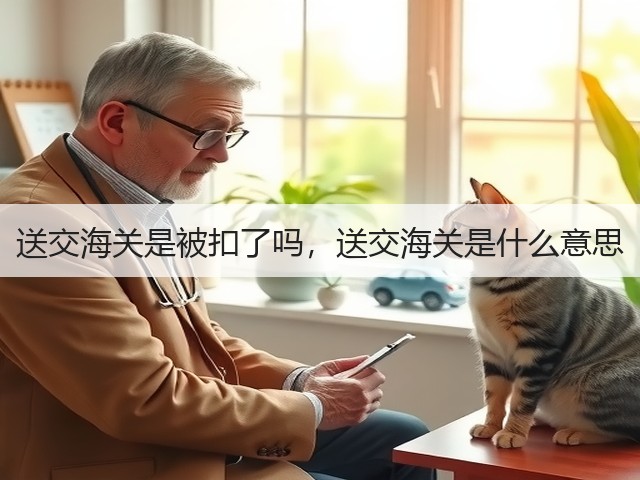 送交海关是被扣了吗，送交海关是什么意思(图2)