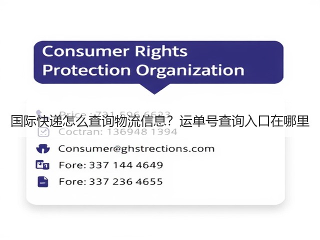 国际快递怎么查询物流信息？运单号查询入口在哪里(图2)