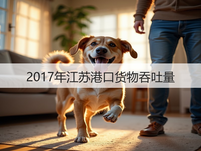 2017年江苏港口货物吞吐量