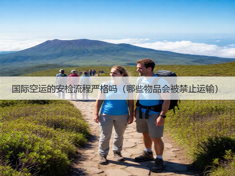国际空运的安检流程严格吗（哪些物品会被禁止运输）