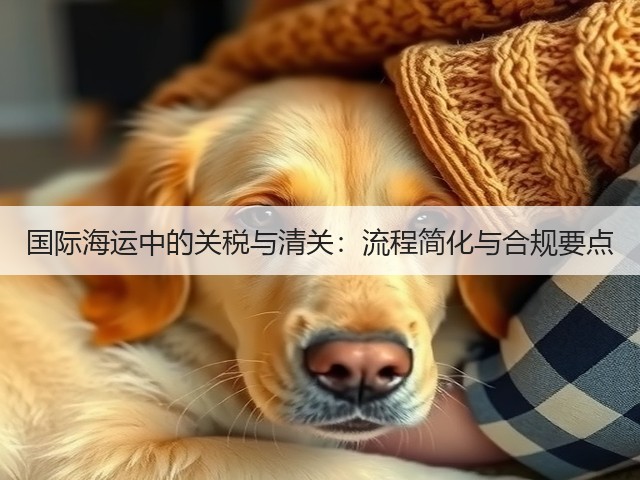 国际海运中的关税与清关：流程简化与合规要点(图3)