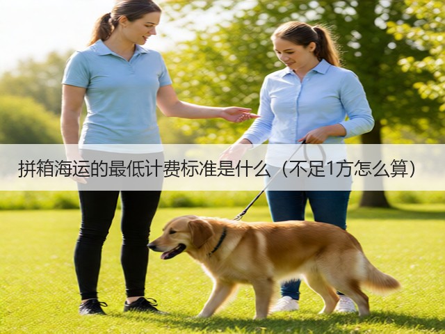 拼箱海运的最低计费标准是什么(不足1方怎么算)(图2) 拼箱海运的最低计费标准是什么(不足1方怎么算)(图2)