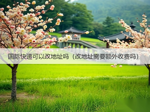 国际快递可以改地址吗(改地址需要额外收费吗)(图2) 国际快递可以改地址吗(改地址需要额外收费吗)(图2)