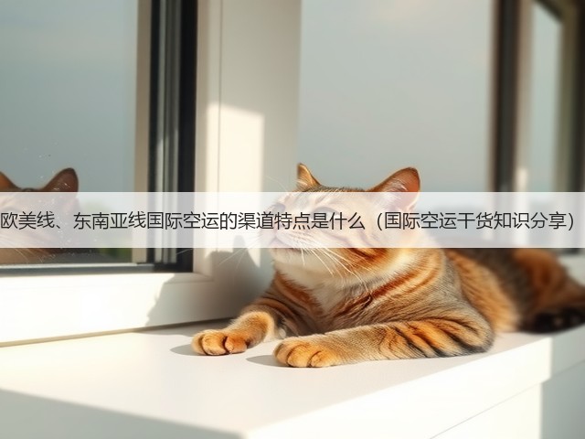 欧美线、东南亚线国际空运的渠道特点是什么(国际空运干货知识分享)(图3) 欧美线、东南亚线国际空运的渠道特点是什么(国际空运干货知识分享)(图3)