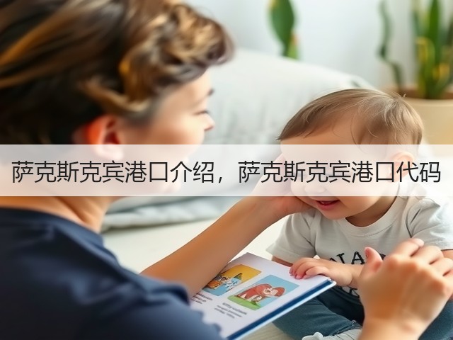 萨克斯克宾港口介绍，萨克斯克宾港口代码(图1)