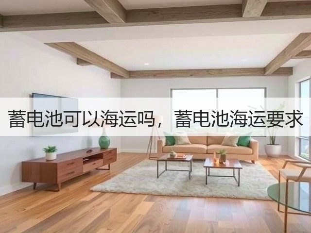 蓄电池可以海运吗，蓄电池海运要求(图3)