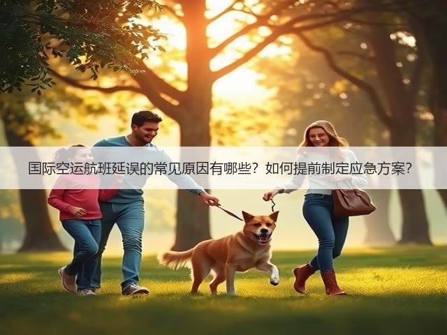 国际空运航班延误的常见原因有哪些?如何提前制定应急方案?(图3) 国际空运航班延误的常见原因有哪些?如何提前制定应急方案?(图3)