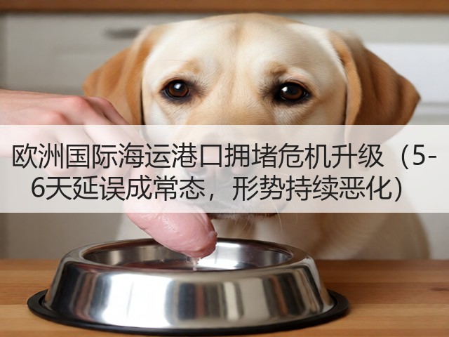 欧洲国际海运港口拥堵危机升级（5-6天延误成常态，形势持续恶化）(图1)