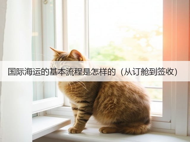 国际海运的基本流程是怎样的(从订舱到签收)(图1) 国际海运的基本流程是怎样的(从订舱到签收)(图1)