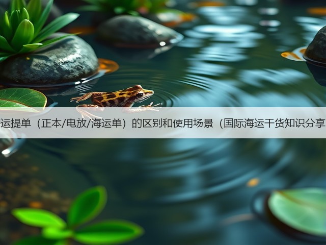 海运提单(正本/电放/海运单)的区别和使用场景(国际海运干货知识分享)(图3) 海运提单(正本/电放/海运单)的区别和使用场景(国际海运干货知识分享)(图3)
