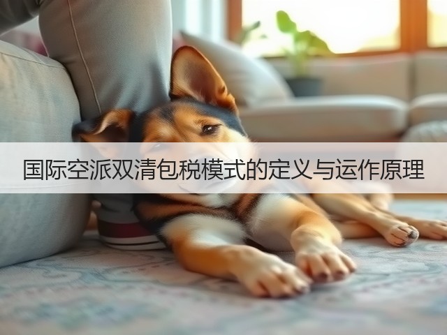 国际空派双清包税模式的定义与运作原理(图3) 国际空派双清包税模式的定义与运作原理(图3)