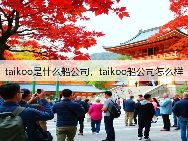 taikoo是什么船公司，taikoo船公司怎么样