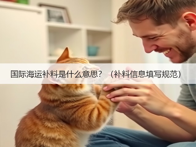 国际海运补料是什么意思?(补料信息填写规范)(图1) 国际海运补料是什么意思?(补料信息填写规范)(图1)