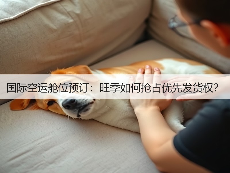 国际空运舱位预订：旺季如何抢占优先发货权？