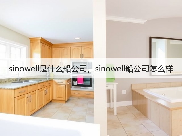 sinowell是什么船公司，sinowell船公司怎么样(图3)