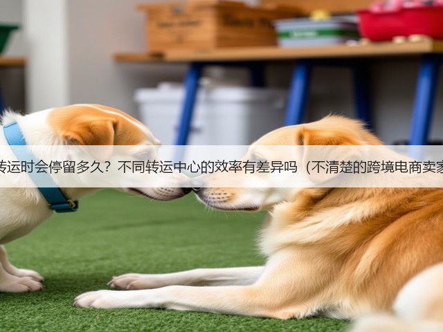 国际快递转运时会停留多久？不同转运中心的效率有差异吗（不清楚的跨境电商卖家看过来）(图3)